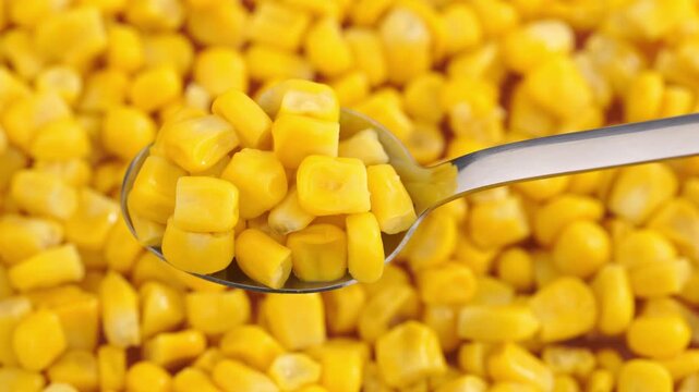Sweet corn kernels. Sweet yellow canned corn. Fresh corn kernels. Slowly rotating in a circle	
