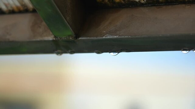 Close-up of water drops falling slowly from the edge of the eaves after the rain