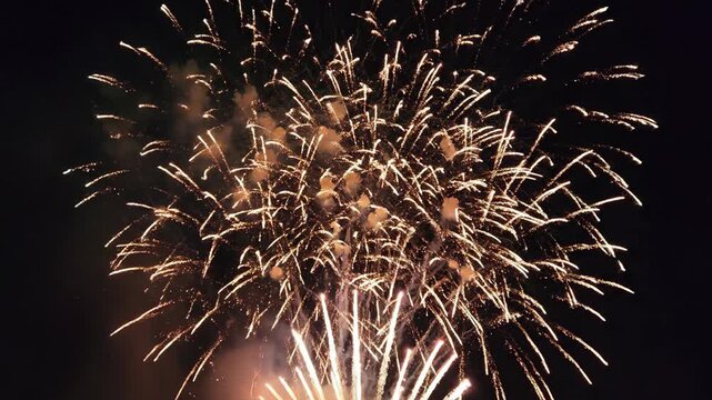 Red and white fireworks exploding in dark night sky