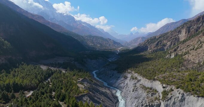 Annapurna Circuit, Manang, Nepal, lateral drone shot over a dense pine forest valley revealing the gravelly bed of the Marsyangdi River area.