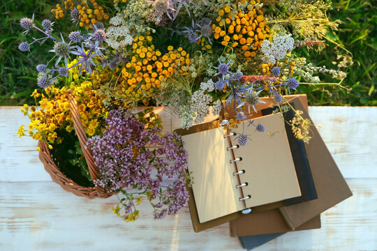 composition with different meadow wildflowers and notebook, books on table in garden, abstract natural background. summer season concept. botany, study of wild herbs, flowers. flat lay