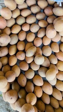A Pile of Sapodilla Fruit: A close-up, overhead view of numerous ripe, oval-shaped sapodilla fruits, their earthy brown skin suggesting sweet, granular flesh within.