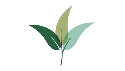 Fototapeta premium Elegant leaf branch vector illustration with three overlapping transparent green leaves on a white background.