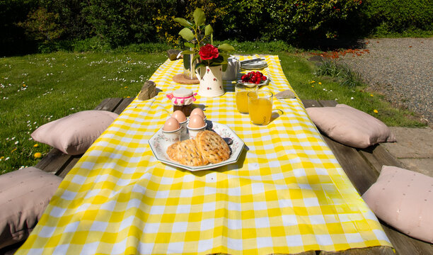Summer Garden Afternoon Tea with Fresh Croissants on Gingham Tablecloth &ndash; Relaxed Al Fresco Holiday Lifestyle