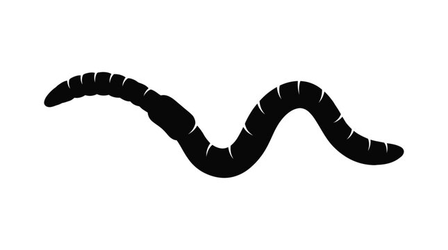 worm silhouette on white background animal insect nature segmented body black simple