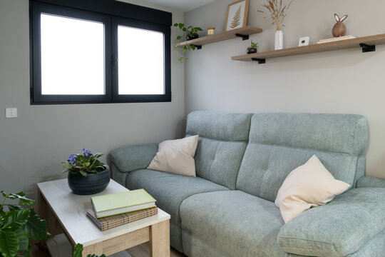 Cozy sofa with pillows, a coffee table with books and plants, and wall shelves creating a comfortable home atmosphere