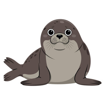 Round body seal illustration perfect for ocean wildlife themes and adorable animal inspired design projects