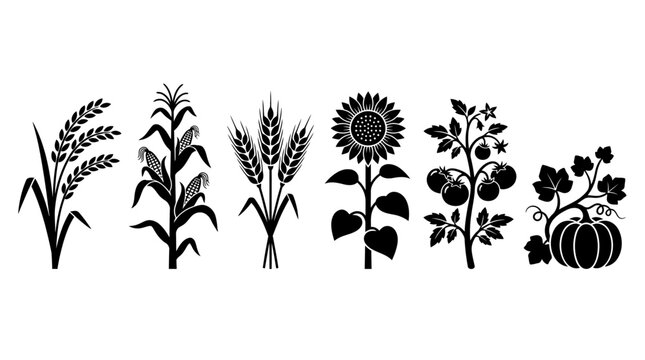 Collection of stylized farm plants, including corn, wheat, sunflower, tomato, and pumpkin.