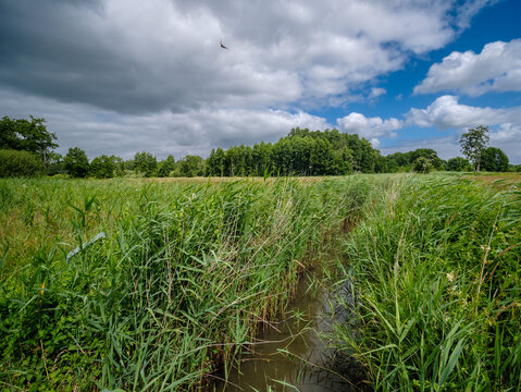 Zeegersloopje,  Nature reserve - Natuurgebied Wedbroeken Tynaarlo, Drenthe province, The Netherlands