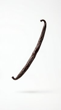 A single dark brown dried Madagascar vanilla bean pod floating gracefully against a clean, neutral backdrop, captured in high resolution.