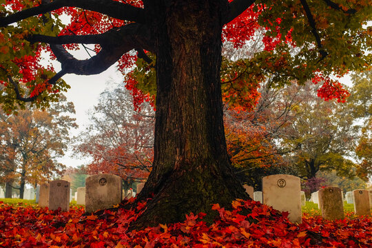 Autumn in Arlington National Cemetery - Washington, DC, United States