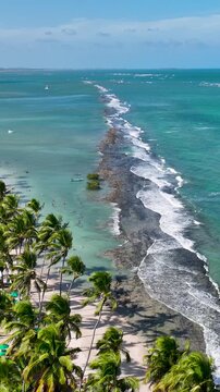 Sheep Beach At Tamandare Pernambuco Brazil. Breathtaking Aerial View Of A Lush Tropical Coastline Scenery. Coast Horizon Seaside Summertime. Seaside Beach Panoramic. Tamandare Pernambuco.