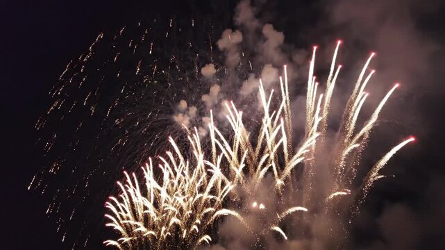 Vibrant pink and red fireworks bursting in night sky.