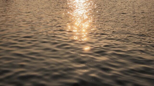 夕方の光を反射してきらめく海の波　スローモーションの自然風景