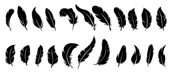 Feather vector set, Hand drawn detailed majestic feather collection. feather vintage art illustration. © Mono Art