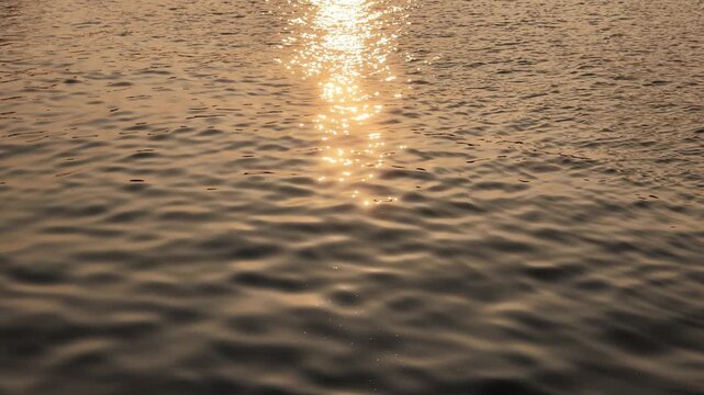 夕方の光を反射してきらめく海の波　スローモーションの自然風景