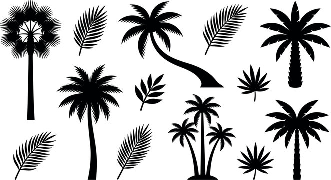 Tropical Palm Tree Silhouette Vector Set Featuring Isolated Exotic Fronds, Coconut Trees, and Jungle Botanical Elements for Summer Beach Tourism and Resort Logo Designs