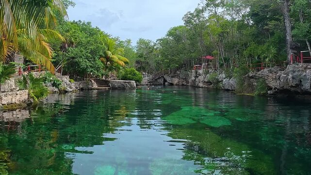 Natural cenote with crystal clear water surrounded by lush tropical jungle in yucatan, mexico