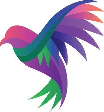Colorful Bird of Paradise and Peacock Vector Illustration with Floral Tribal Elements Nature Logo Symbol and Decorative Artistic Design