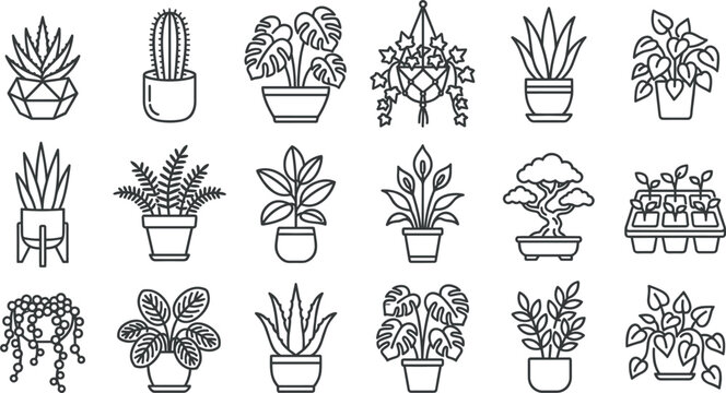 Potted Houseplant and Indoor Botany Line Icon Set with Monstera, Cactus, Succulent, Bonsai Tree, and Hanging Plant Symbols for Interior Design Graphic Web Elements