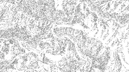 Obraz premium Abstract monochrome texture with dark gray organic flowing lines, stippled patterns, and distressed grainy noise on a white background