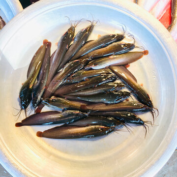 Fresh raw catfish arranged in a white plastic bowl for sale at a local fish market, highlighting the texture of the fish skin.