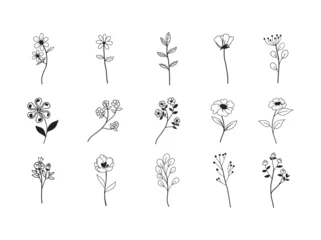 Group of delicate black line drawings of various botanical elements like leaves, flowers, and sprigs on white background. © Kareemov