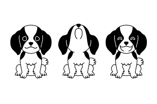 Cute Cavalier King Charles Spaniel puppy set in black and white cartoon vector illustration