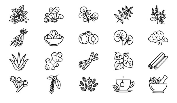 Medical Ayurvedic Herbs Black Contour Illustration Set with Botanical Healing Plants Vector Collection