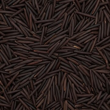 Raw Wild Rice Grains Background Texture Top View