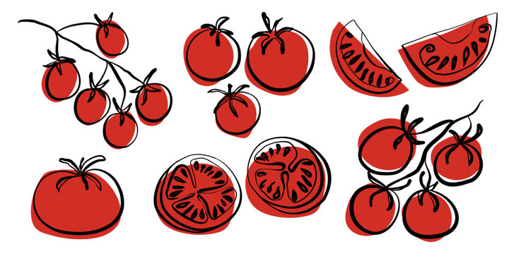 Hand drawn tomato doodle collection featuring cherry tomatoes, whole tomatoes, tomato slices and vine tomatoes. Minimal black outline with red offset shadow. Vector food illustration isolated on white