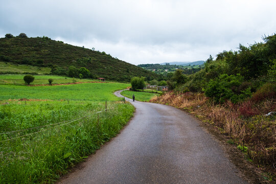 Pilgrim with a large backpack and a hiking pole walks along a winding rural road during a rainy or overcast day on the Camino Primitivo route.
