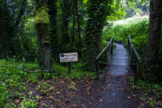 Wooden footbridge and trail sign in a lush green forest on Camino Primitivo