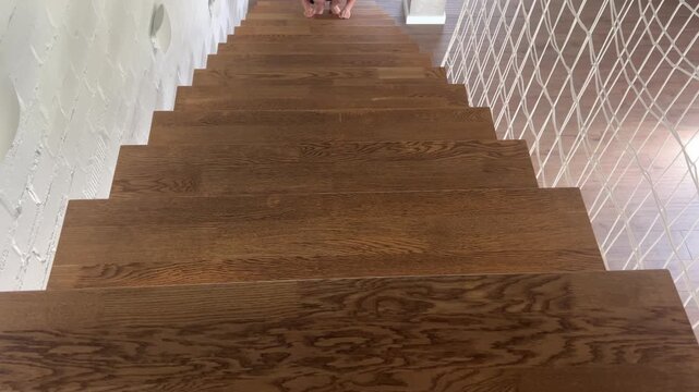 Cat climbing wooden staircase, top view pet scene in home interior