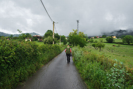 Pilgrim with a large backpack and a hiking pole walks along a winding rural road during a rainy or overcast day on the Camino Primitivo route.