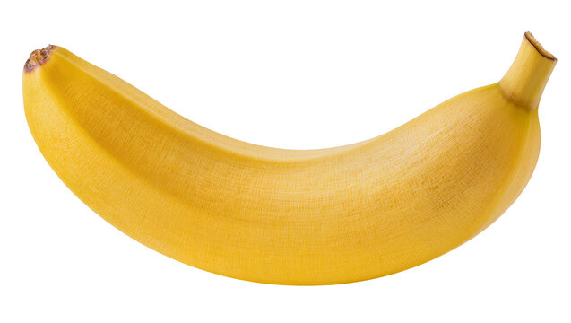 Isolated fresh healthy organic ripe yellow banana fruit, delicious tropical produce food item