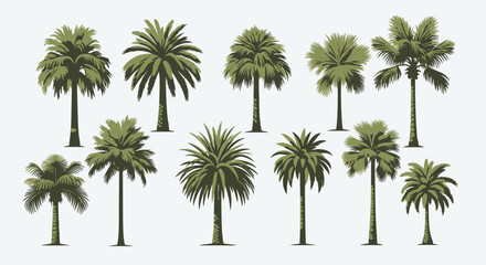 Fototapeta premium Collection of diverse palm tree silhouettes for tropical and nature designs