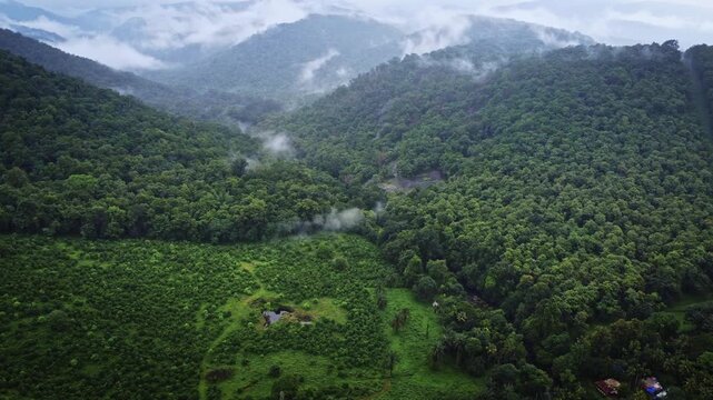 Aerial drone view of the vast tea plantations of Munnar, Kerala, India, with lush green tea fields, winding paths, rolling hills, and scenic mountain landscapes of the Western Ghats.
