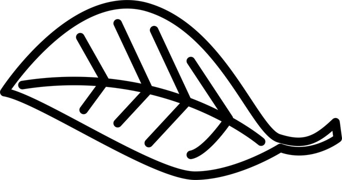 vector illustration of a fish