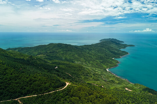 Lush forest covers the rolling terrain of this coastal region where a dirt road winds through the trees along the blue ocean coastline during a sunny day