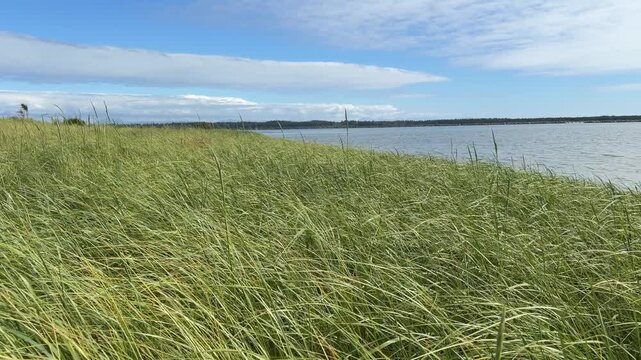 The Columbia River as seen from shore at Fort Stevens State Park in Oregon.