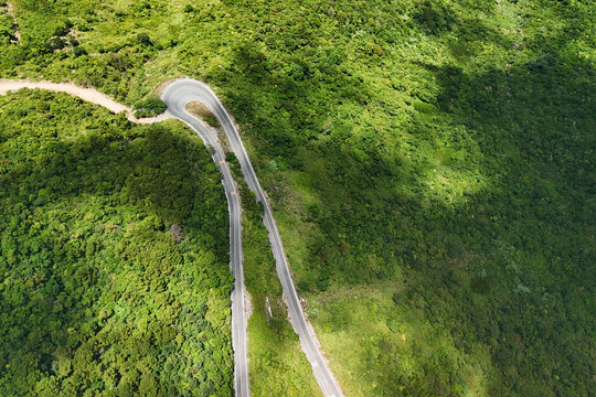 Asphalt road winds sharply through the dense green vegetation of a mountain landscape in Hong Kong under the bright afternoon sun