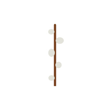 Willow branch