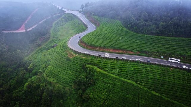 Aerial drone view of a scenic road winding through lush green tea plantations in Munnar, Kerala, India, showcasing the breathtaking landscape of the Western Ghats during the monsoon season.