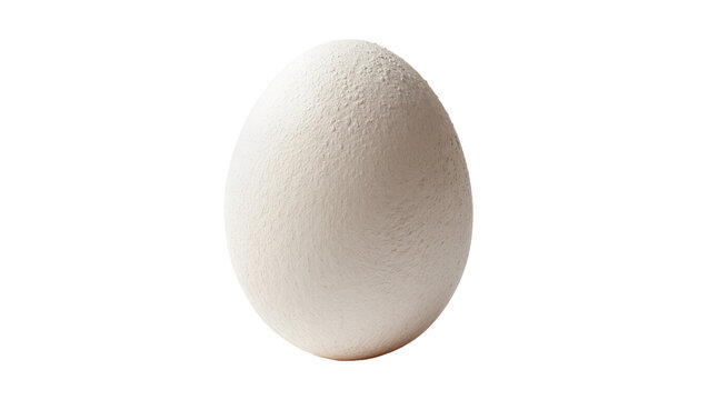 Isolated single large beige egg with a uniquely rough and heavily textured shell