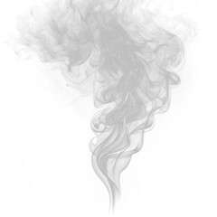 Obraz premium Grey smoke swirl rising in the air