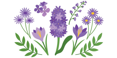 Flat vector illustration of purple spring flowers including hyacinth, crocus, and asters with green leaves for floral design projects © Pronob Kumar Ray