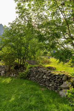 Guttannen, Switzerland. Traditional dry stone wall beneath leafy trees in an alpine meadow of the Bernese Oberland