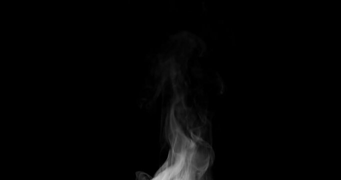 Hot white steam from coffee or food rising slowly on black background. Realistic smoke curls or vapor mist flowing smoothly upward. Abstract slow motion texture overlay for video edit.
