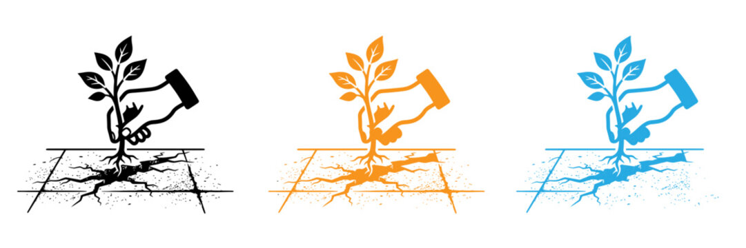 Three stylized growing plant icons with roots in soil isolated on transparent background, Vector